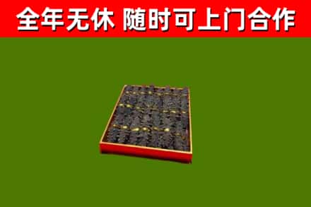 君山烟酒回收海参.jpg